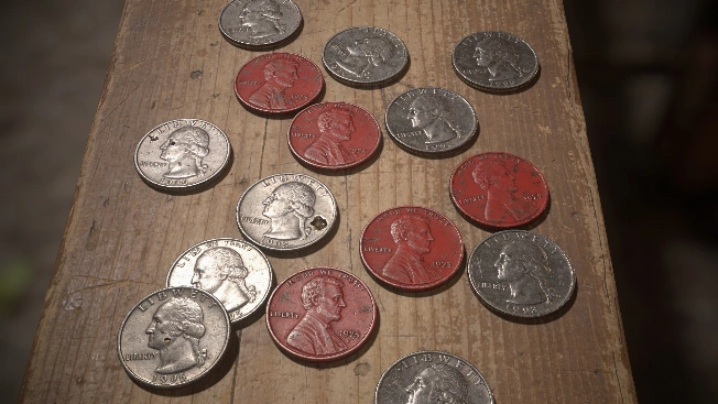 Painted Quarters Reveal Hidden Stories in US Coin Circulation Currency Information
